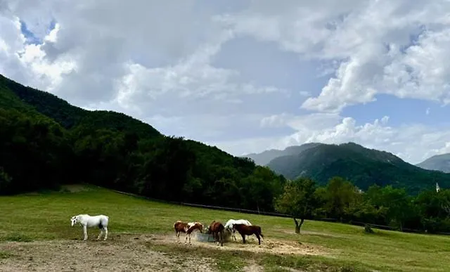 Agriturismo Casa Di Nano Sibano Farm stay