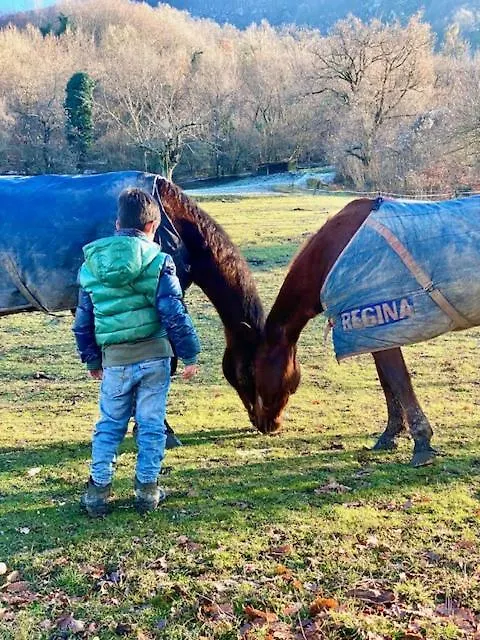 Agriturismo Casa Di Nano Sibano